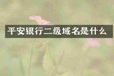 平安银行二级域名是什么