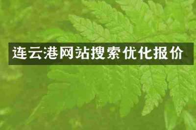 连云港网站搜索优化报价