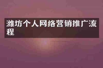 潍坊个人网络营销推广流程
