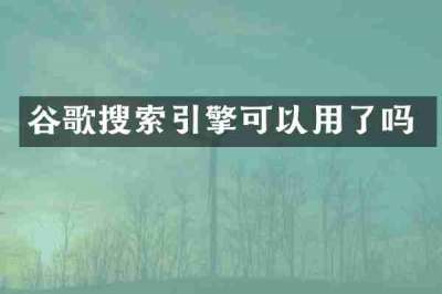 谷歌搜索引擎可以用了吗