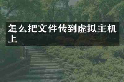 怎么把文件传到虚拟主机上