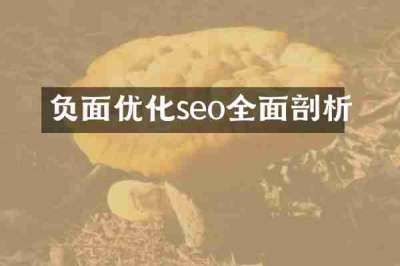 负面优化seo全面剖析