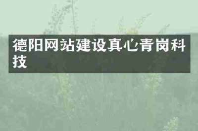 德阳网站建设真心青岗科技