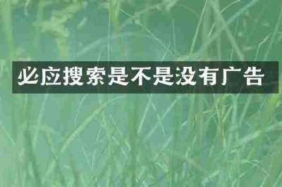 必应搜索是不是没有广告