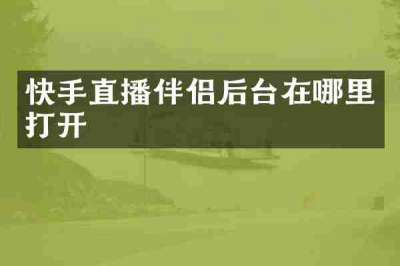 快手直播伴侣后台在哪里打开