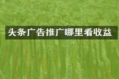头条广告推广哪里看收益