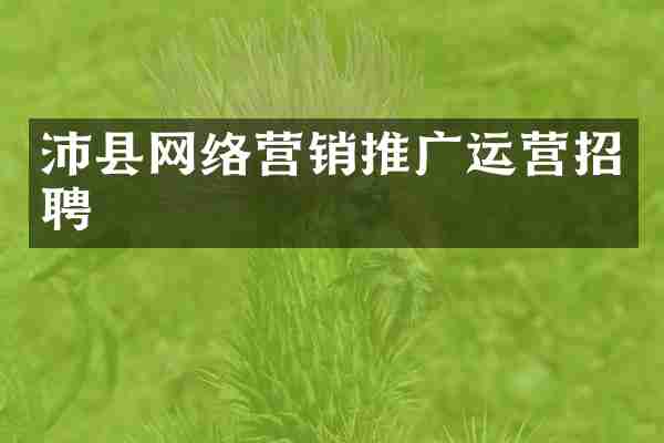 沛县网络营销推广运营招聘