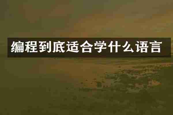 编程到底适合学什么语言