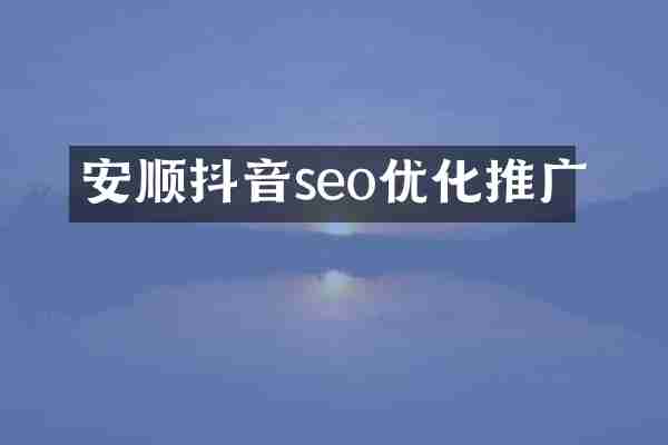 安顺抖音seo优化推广