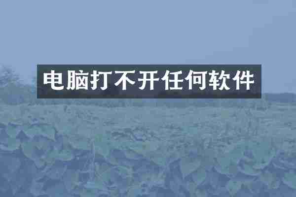 电脑打不开任何软件