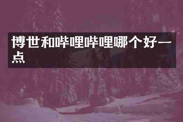 博世和哔哩哔哩哪个好一点