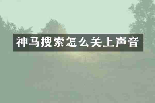 神马搜索怎么关上声音