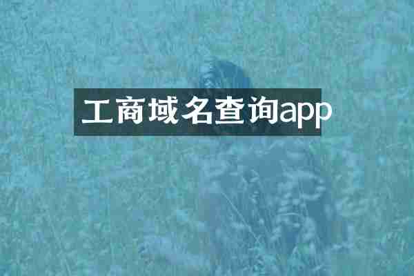 工商域名查询app