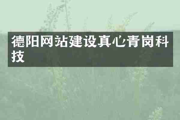 德阳网站建设真心青岗科技