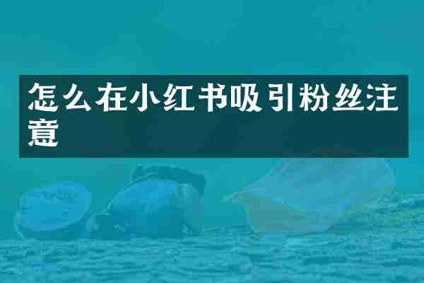 怎么在小红书吸引粉丝注意