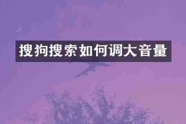 搜狗搜索如何调大音量