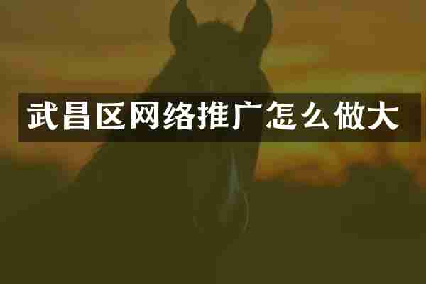 武昌区网络推广怎么做大