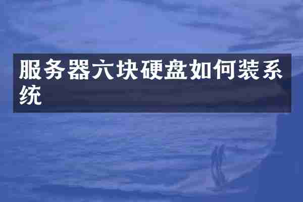 服务器六块硬盘如何装系统