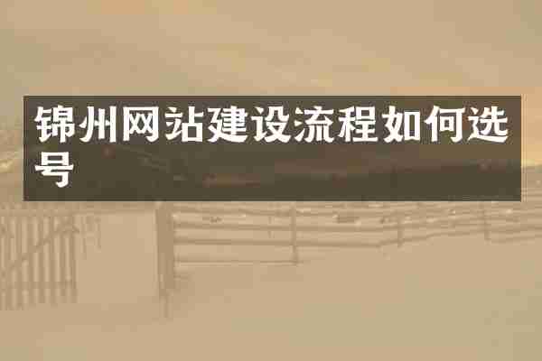 锦州网站建设流程如何选号