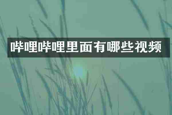 哔哩哔哩里面有哪些视频