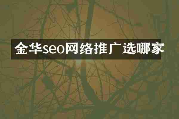 金华seo网络推广选哪家