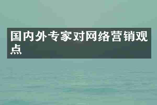 国内外专家对网络营销观点