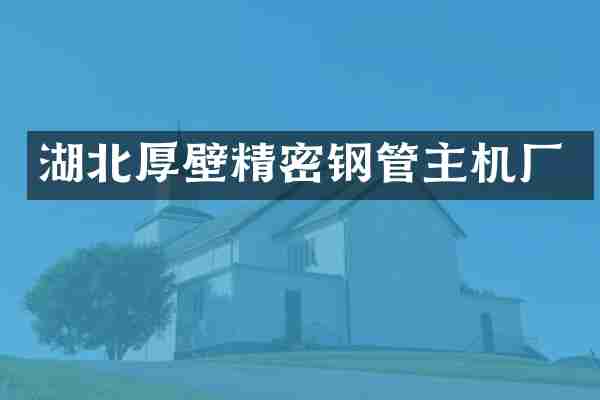湖北厚壁精密钢管主机厂