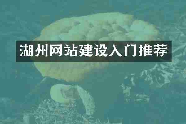 湖州网站建设入门推荐