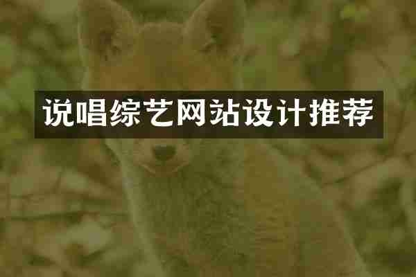 说唱综艺网站设计推荐
