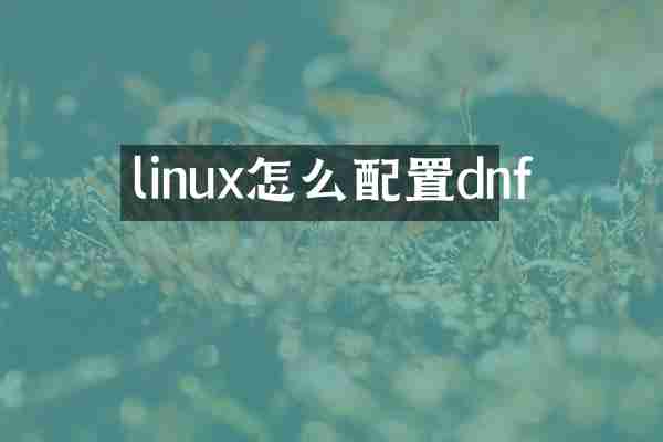 linux怎么配置dnf