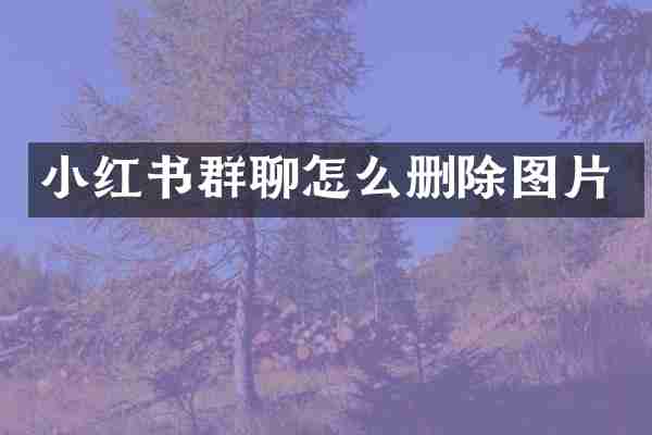 小红书群聊怎么删除图片