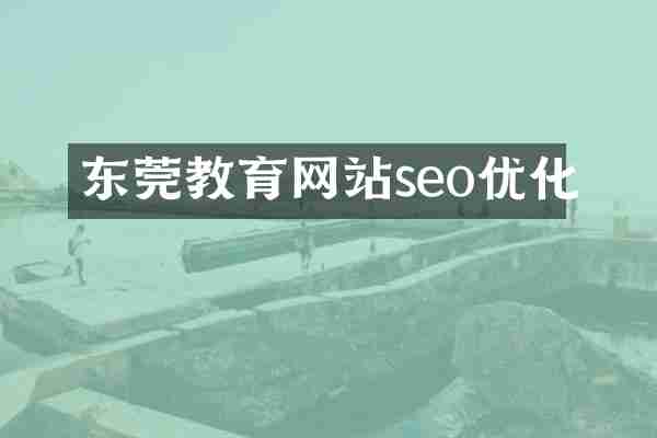 东莞教育网站seo优化