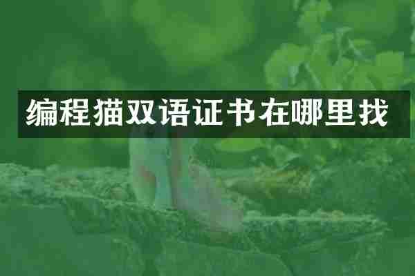 编程猫双语证书在哪里找