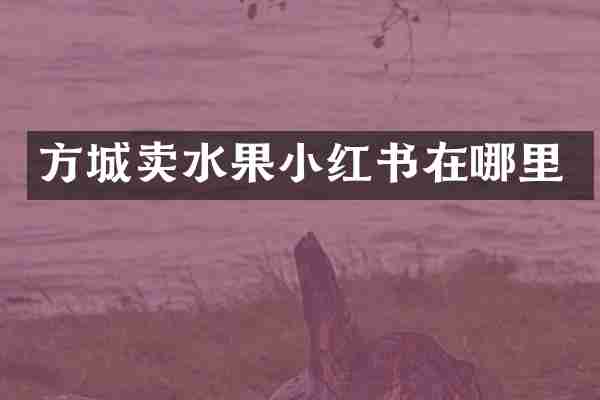 方城卖水果小红书在哪里