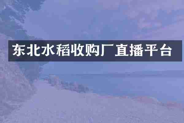 东北水稻收购厂直播平台