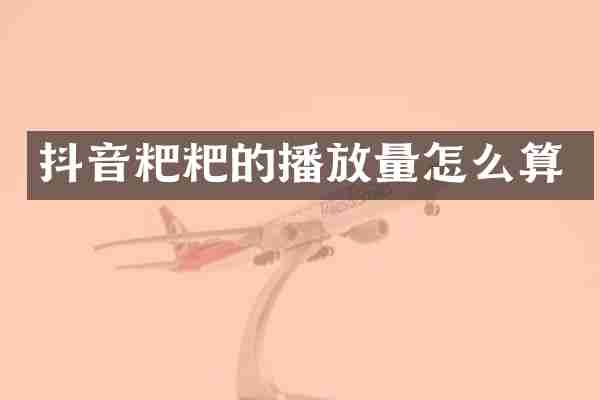 抖音粑粑的播放量怎么算