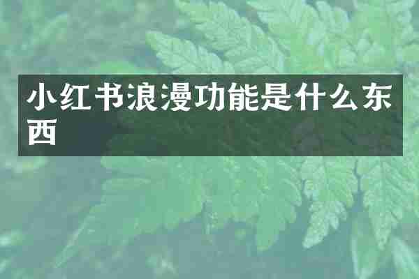 小红书浪漫功能是什么东西