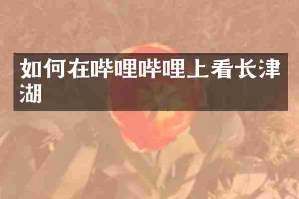 如何在哔哩哔哩上看长津湖