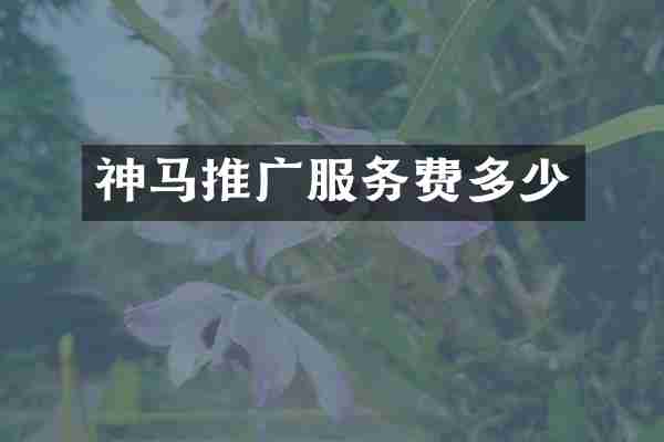 神马推广服务费多少