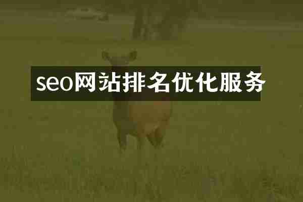 seo网站排名优化服务