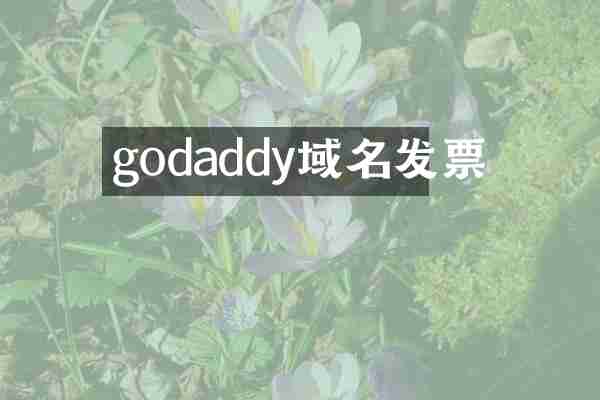 godaddy域名发票