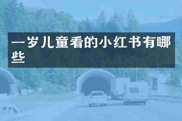 一岁儿童看的小红书有哪些