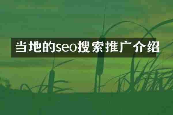 当地的seo搜索推广介绍