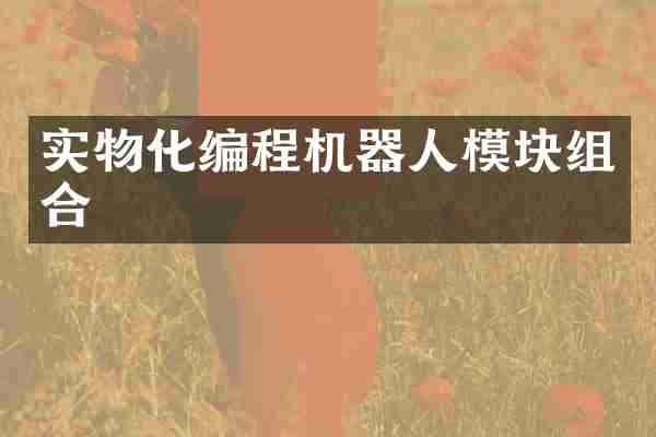 实物化编程机器人模块组合