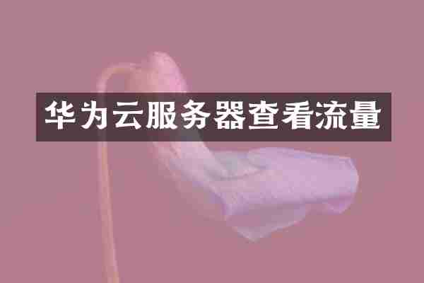 华为云服务器查看流量