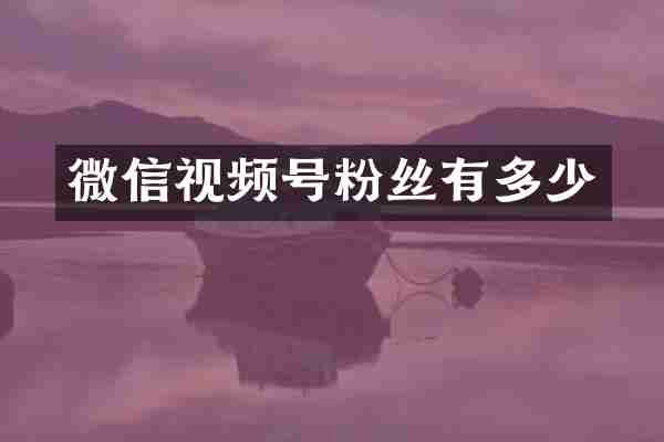 微信视频号粉丝有多少