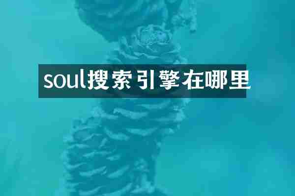 soul搜索引擎在哪里