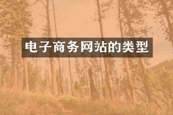 电子商务网站的类型