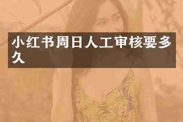 小红书周日人工审核要多久