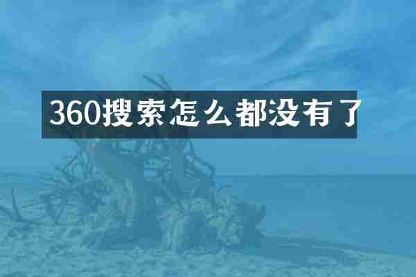 360搜索怎么都没有了